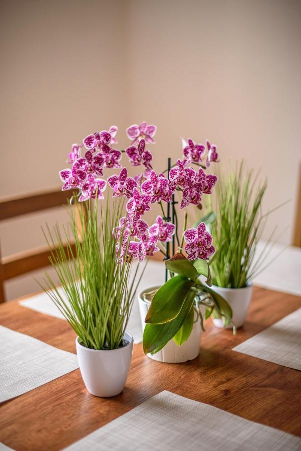 Slavikov Appartement