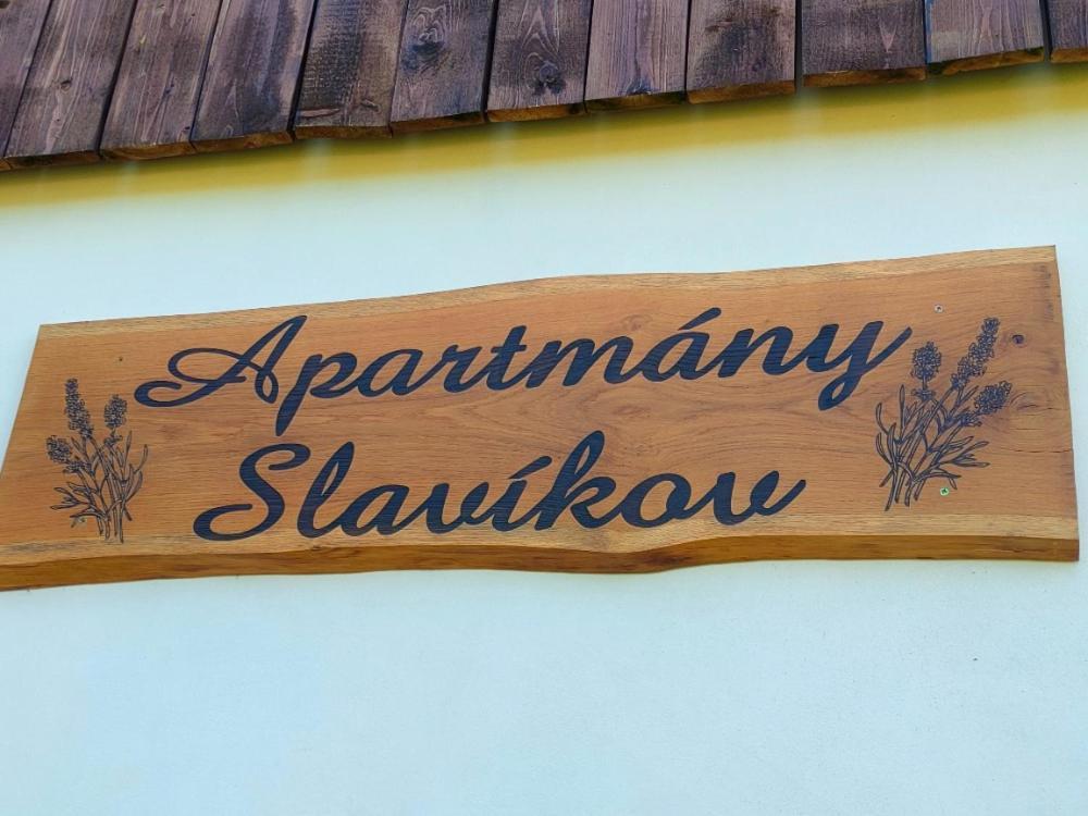 Slavikov Appartement